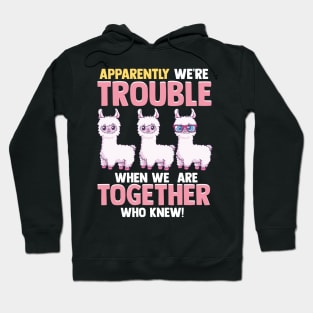 Cute Apparently We're Trouble When We Are Together Hoodie